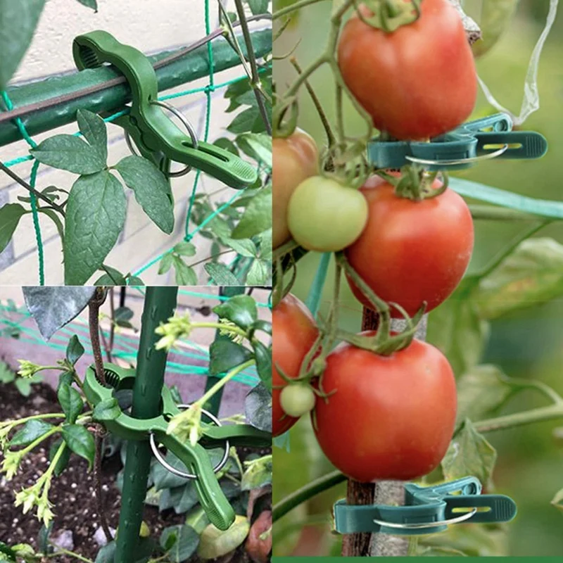 식물 지지대 클립, 고정 플라스틱 식물 클립, 등반 식물용 고정 클립, 재사용 가능 (120, 대형 + 소형)