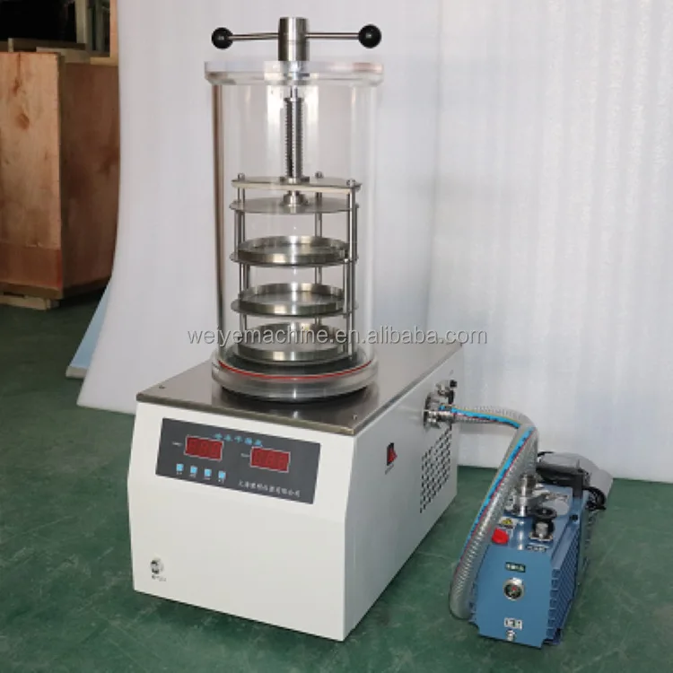 Drying Machine for Fruit and Vegetable Food Freeze Drying Machine Lyophilizer Machine Price