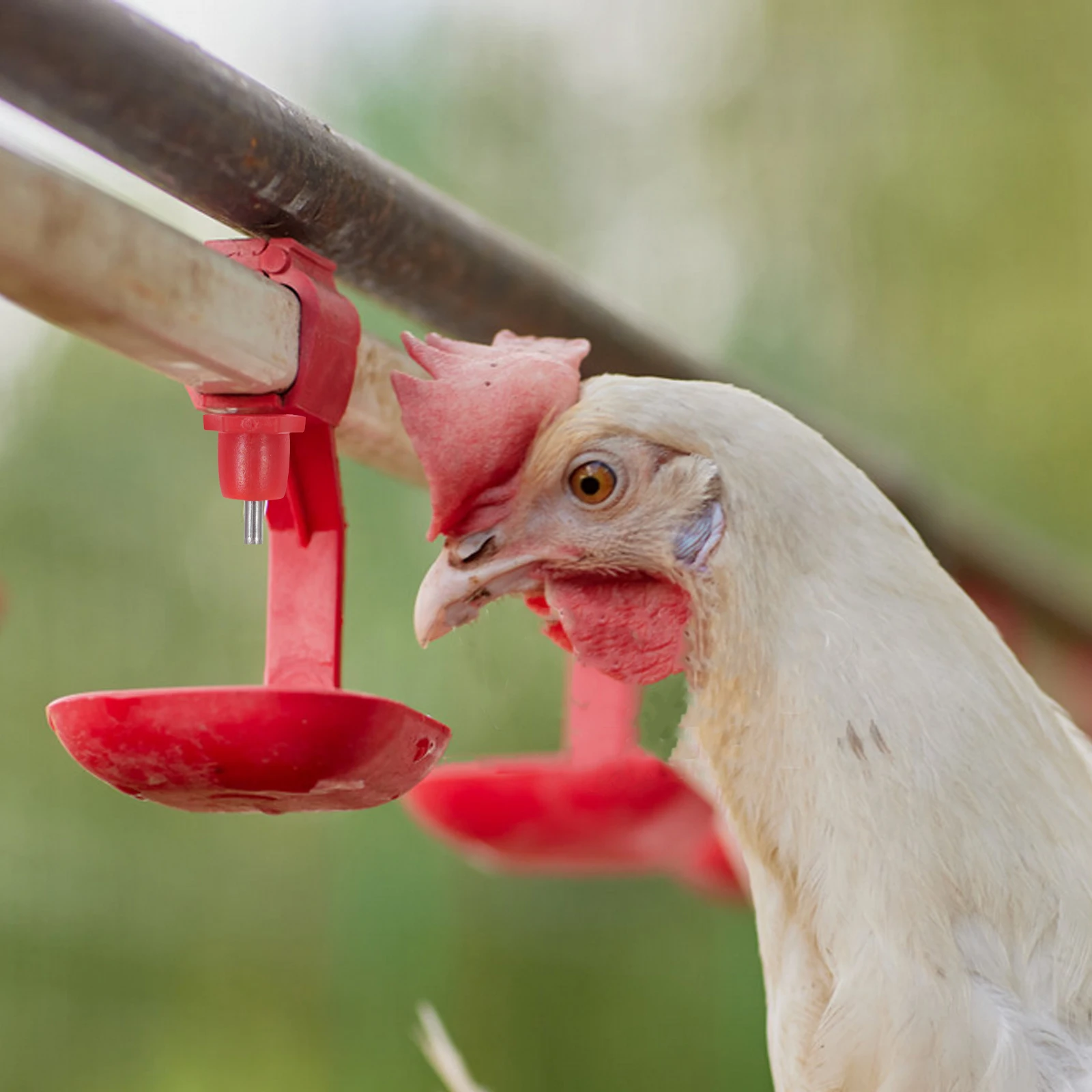 

20pcs Chicken Nipples Automatic Poultry Waterer For Bucket Farm Supplies Chick Waterer Drinking Equipment Hens Ducks Quail