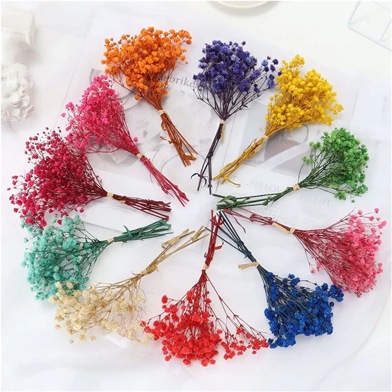 Natural Dried Bouquets Fresh Dried Preserved Flowers Small Natural Dried Flowers Bouquet Dry Flowers Press Home Wedding Decor