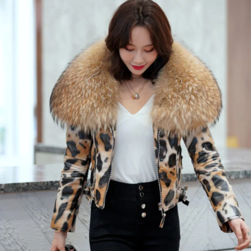 แฟชั่นฤดูหนาวสั้นจริง Raccoon ขนสัตว์ใหญ่ของแท้ Leathert Coat คุณภาพสูง Sheepskin เสือดาวพิมพ์เสื้อแจ็คเก็ตรถจักรยานยนต์