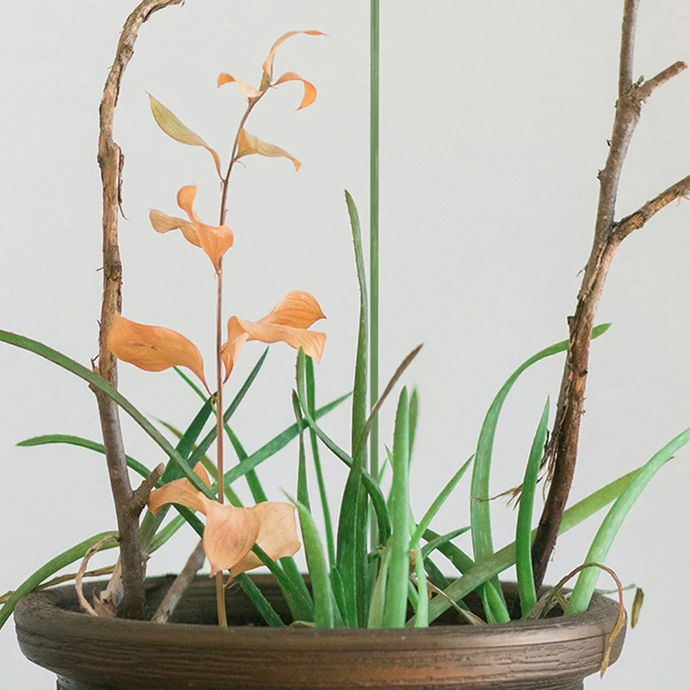 12 قطعة حصص دعم الزهور لزهرة الأوركيد قابلة لإعادة الاستخدام بوعاء دعم النبات قضبان سهلة التركيب حامل نمو النباتات الزخرفية حديقة #5