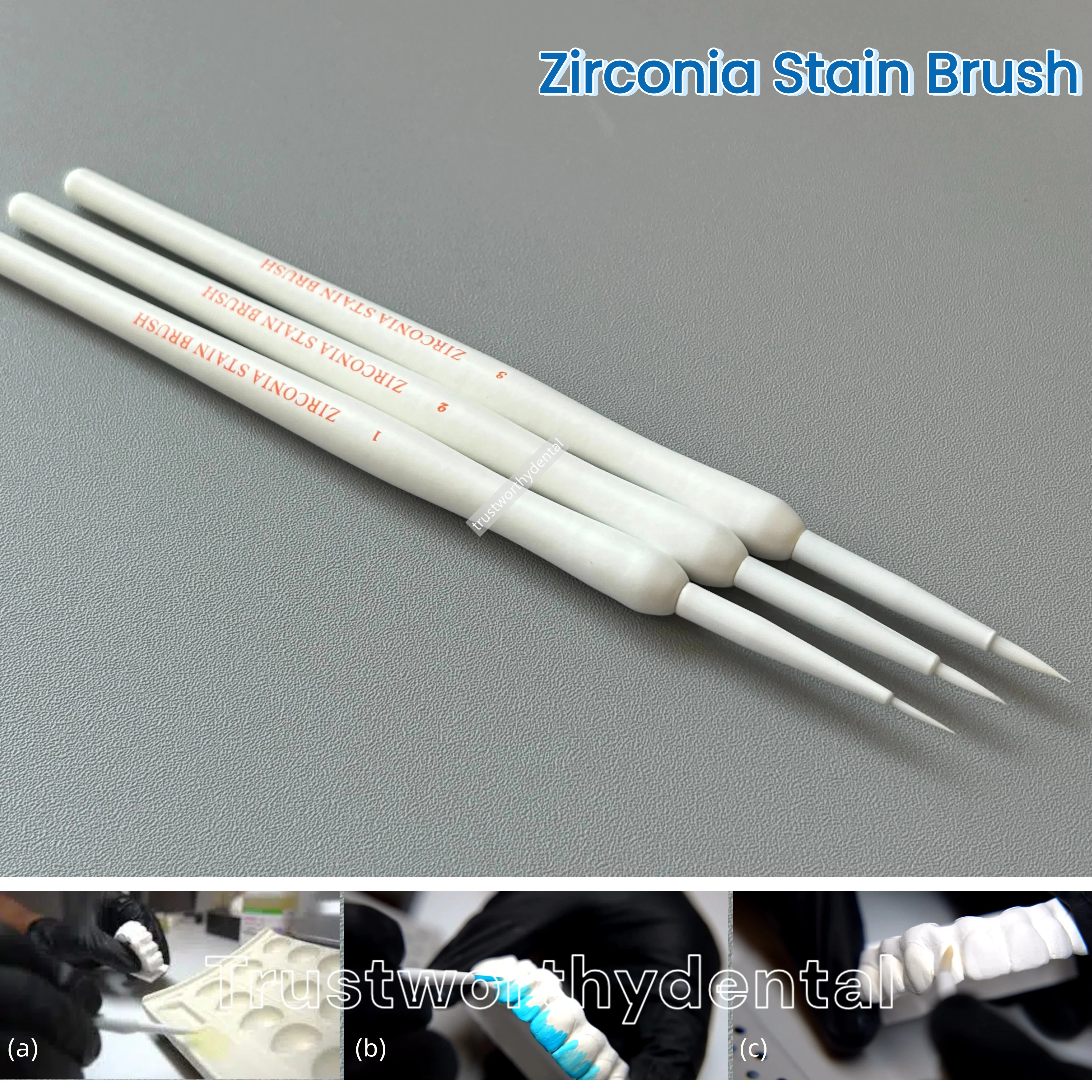 Dental Zirconia Stain Brush Kit