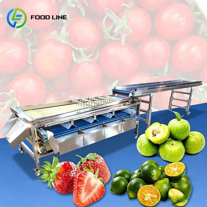 Fruit Size Sorter Small Produce Grader Fruit Grading Machine for Longan Bayberry Kumquat Olive Customized
