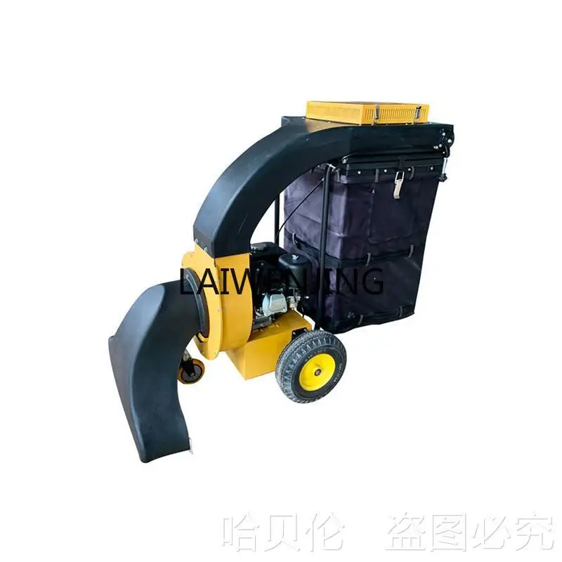 Lyn Large Leaf Suct…