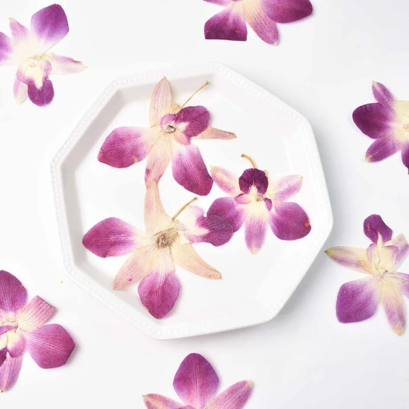 4pcs,Real Pressed Butterfly Orchid Flowers DIY Resin Art,Scrapbook,Photo Frame,Plant Specimen,Handmade Crafts,Teaching Materials
