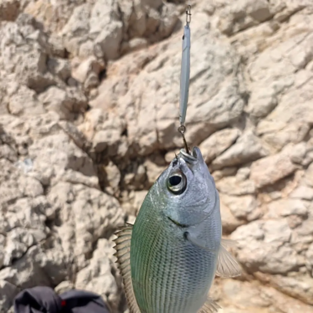 إغراء الصيد 20g خطاف الشاطئ المصبوب Swimbait الطعم الاصطناعي غطاء ليزر Pesca البحر بايك باس الملحقات الغزل معالجة #6