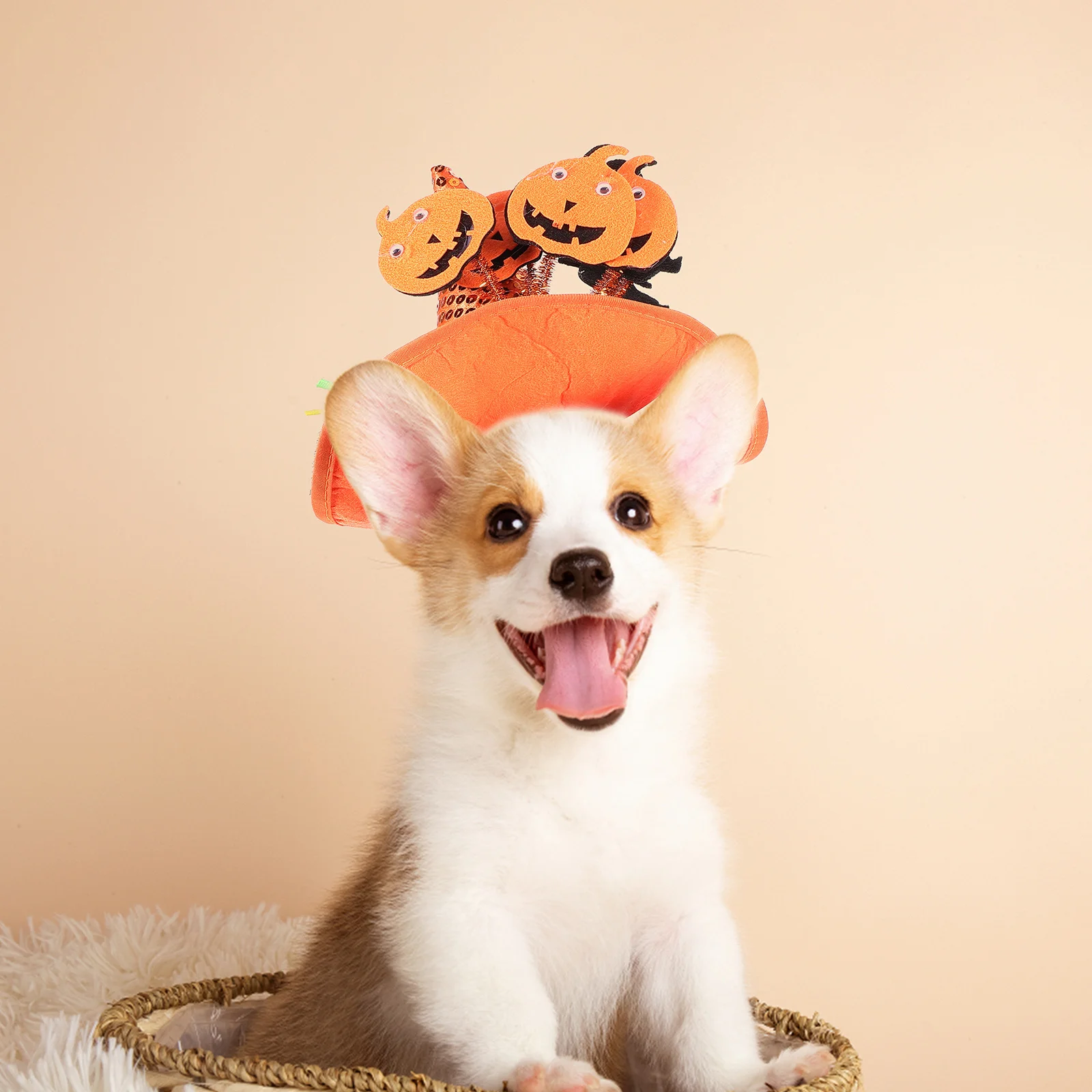 

Halloween Pet Headdress Cat Party Hat Dog Costume Prop Decorative Halloween Pet Hat for Party Photo Hats for Dogs