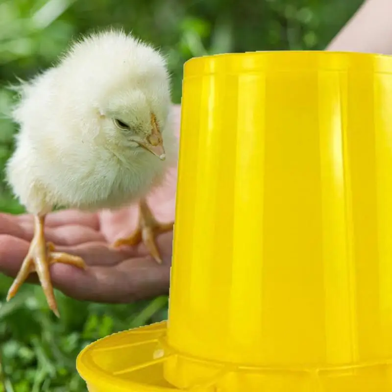 

Chicken Feeder Large Capacity No Waste Chicken Feeder Poultry Feeder Automatic Baby Chick Feeder Efficient Chick Feeder And