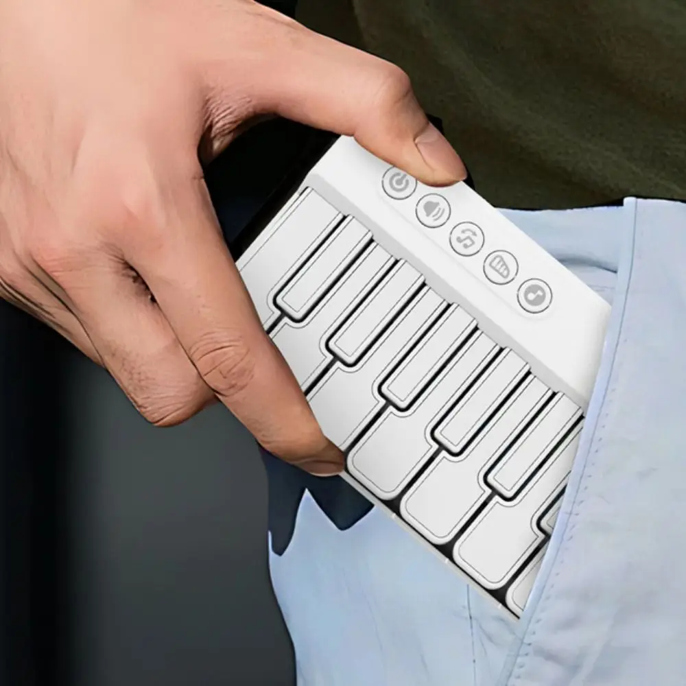 Early Education Mini Electric Keyboard Multifunctional Electronic Organ Electronic Piano Interactive Light
