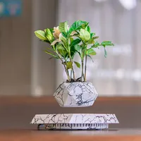 Magnetic Levitation Pot New and Unique Flower Pot Creative Magnetic Levitation Pot Potted Plant Desktop Decoration