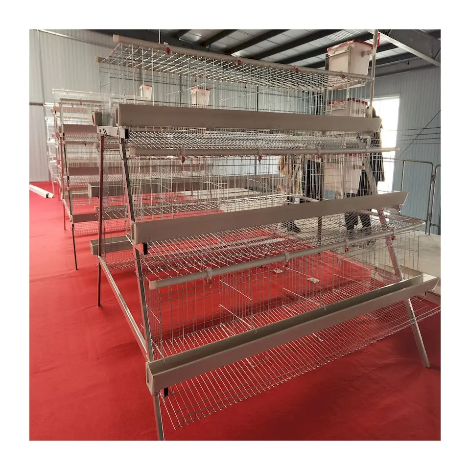 2021 Hot sale Animal Cages Electric Chicken Poultry egg Cage for Laying Hens