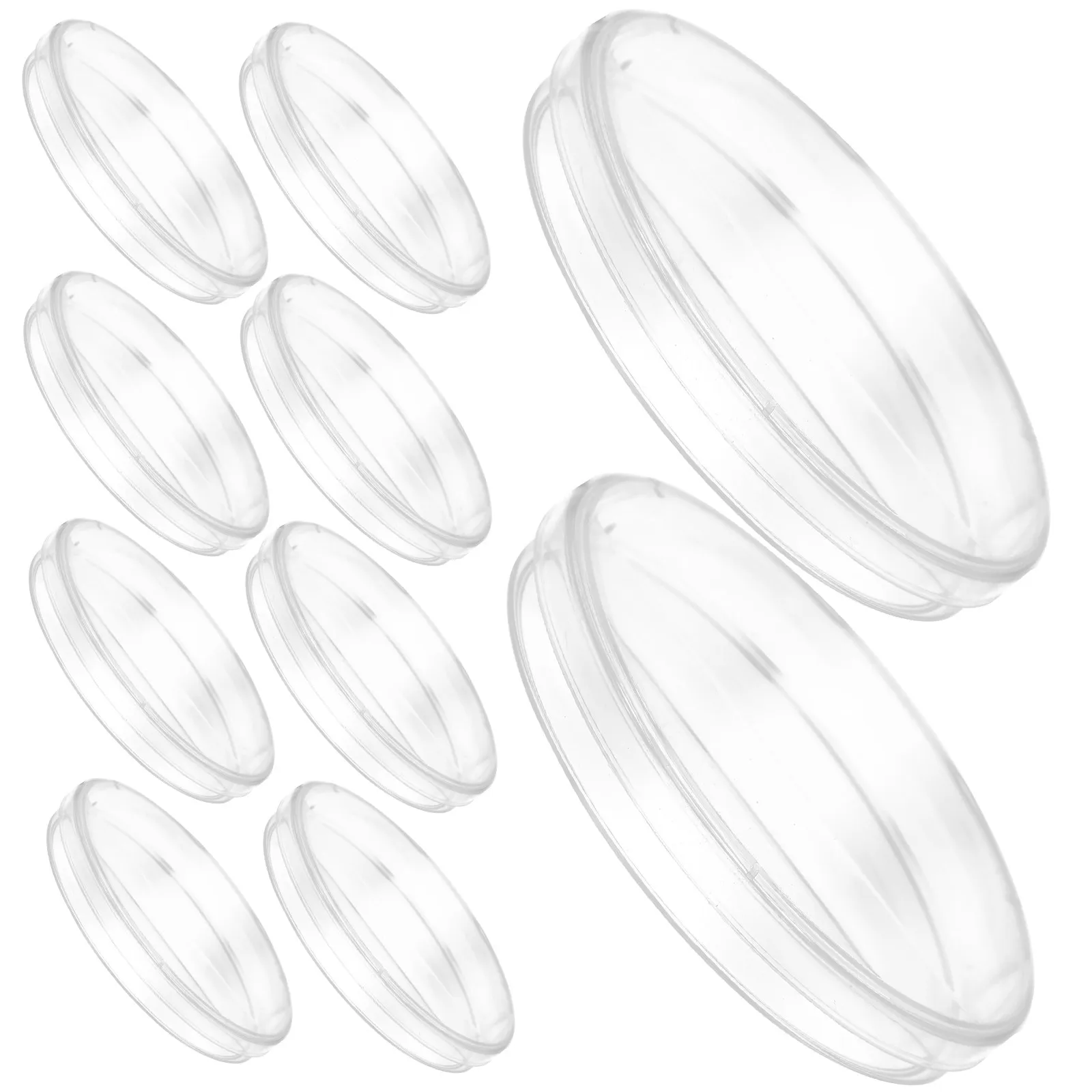 

10Pcs Plastic Petri Dish with Lid Transparent Culture Dishes for Lab Research Biology Botany Agar Plates School Science