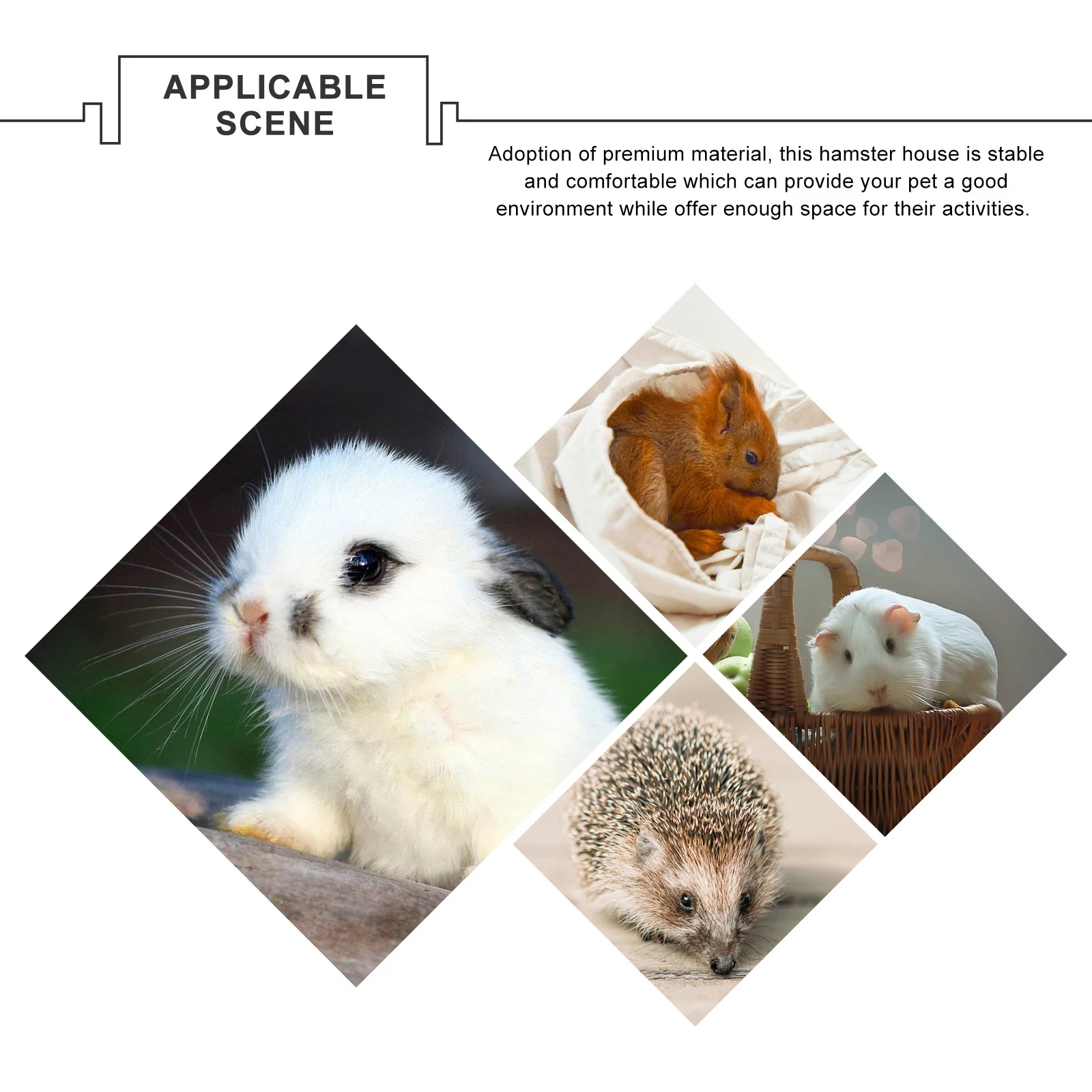 

1Set Insulated Pet Cage Breathable Design Multiple Air Holes Stable Comfortable Environment Hamster House Small Animal Terrarium