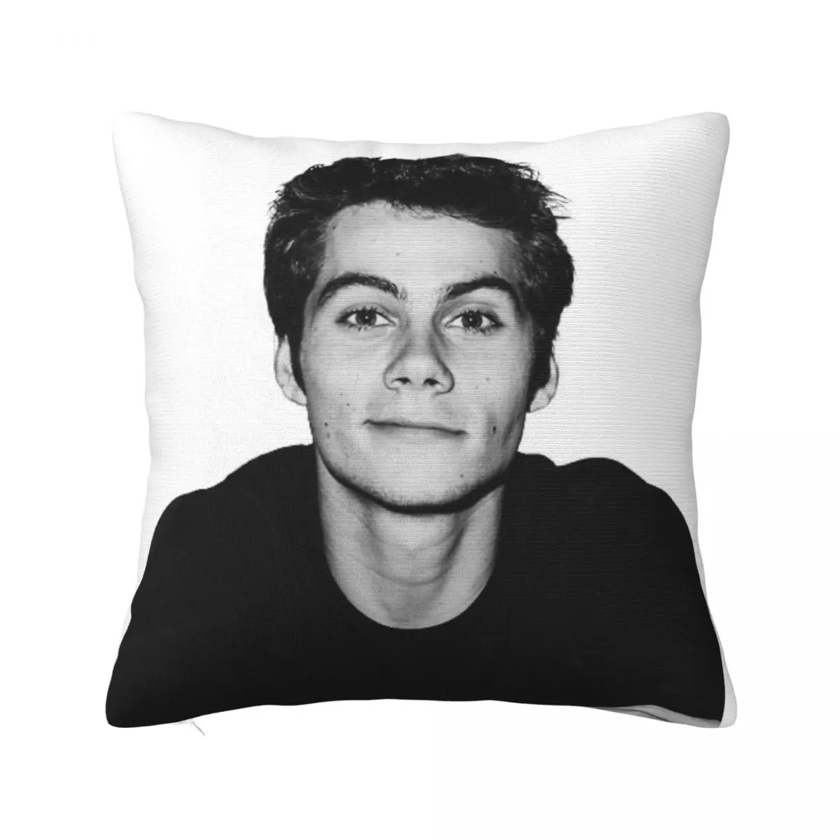 Dylan O'Brien Pillowcase Printed Polyester Cushion Cover Decorations Pillow Case Cover Seat Zipper 40*40cm