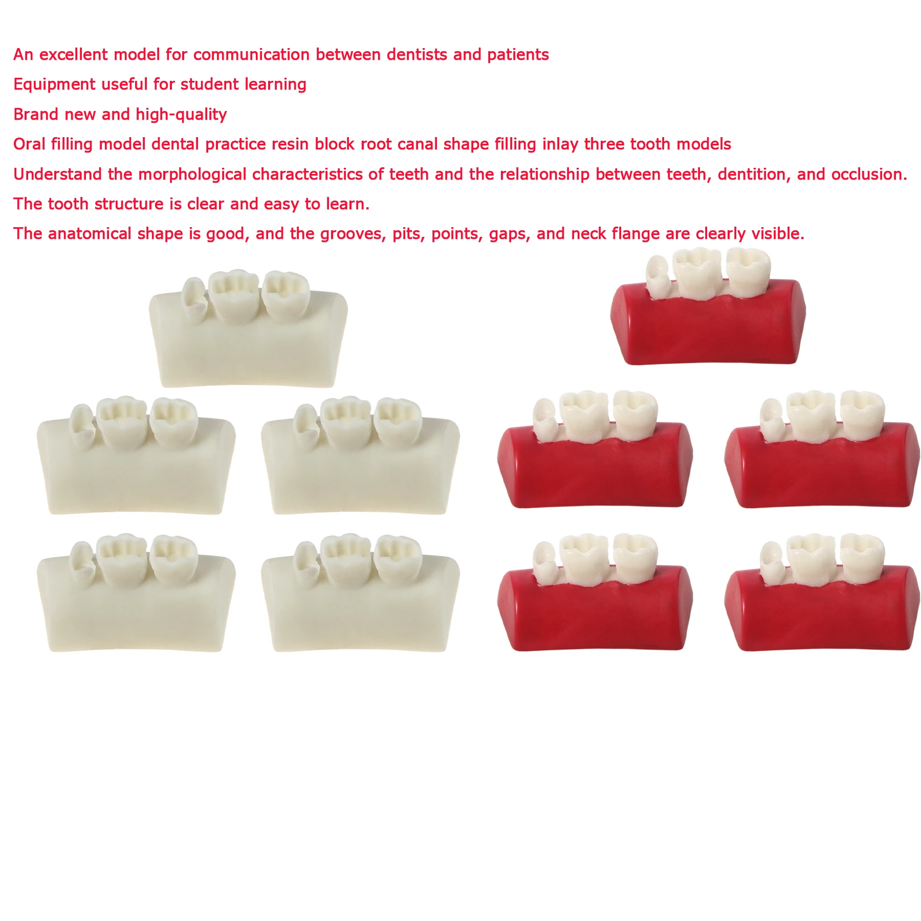 

Dental Inlay Exercise Model Block Filling Exercise Typodont Resin Materials Oral Filling Model For Dentistry Teaching Study