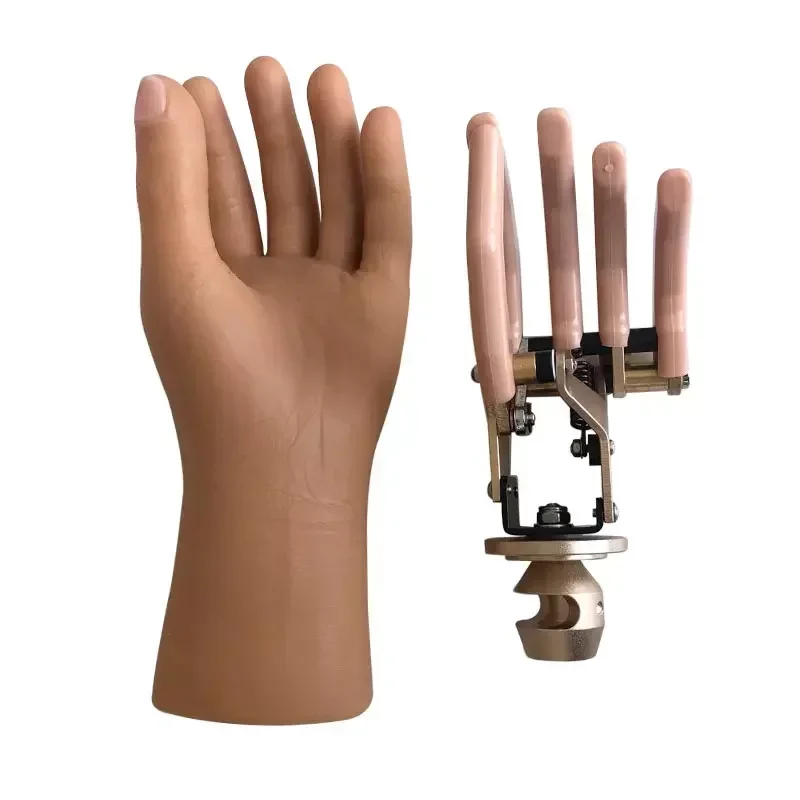 Prosthetic Components Hand Artificial Limbs Cosmetic Prostheses Skeleton Style Cosmetic Hand