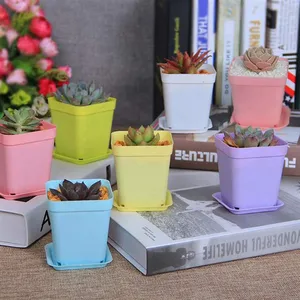 20pcs Mini Basin Square Pot Bunga Succulent Tanaman Nampan DIY Warna-warni Pot Bunga Pekebun Tumbuh Pot Rumah Kantor Dekorasi Taman 10 pot succulents penjualan terbaik - №