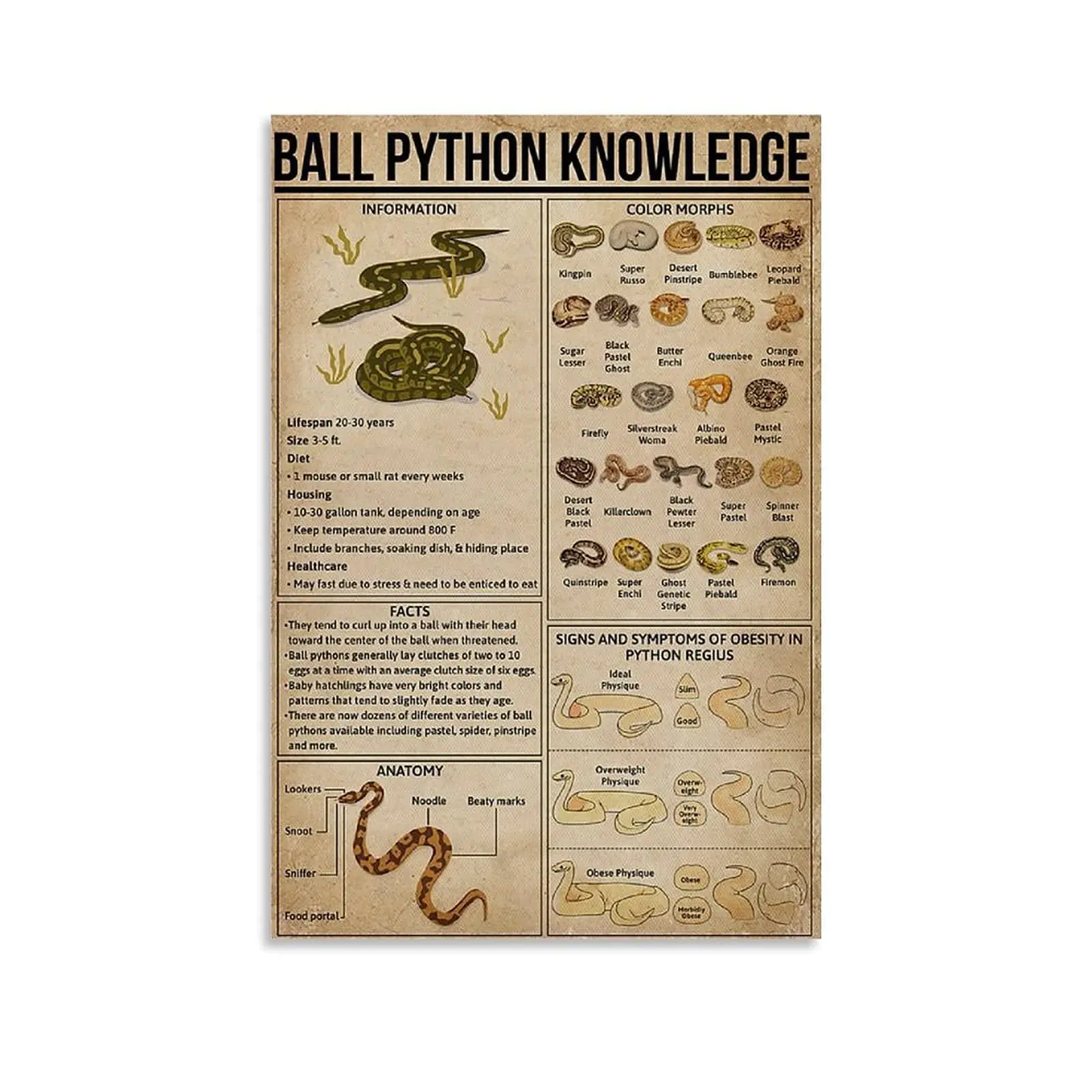 

Veidsuh Ball Python Knowledge Retro Vintage Tin Sign Metal Sign Decoration Metal Poster Plaque for Bar Cafe Club Garage 6inch*12