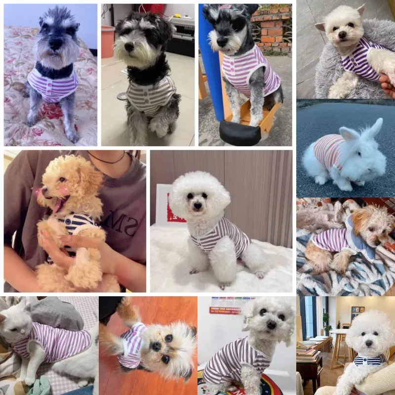 2024 Pet Dog Striped Sweatshirt Dog Clothes for Small Dogs Puppy Summer Clothes Soft Cat Dog Vest Bichon Chihuahua Dog Costumes