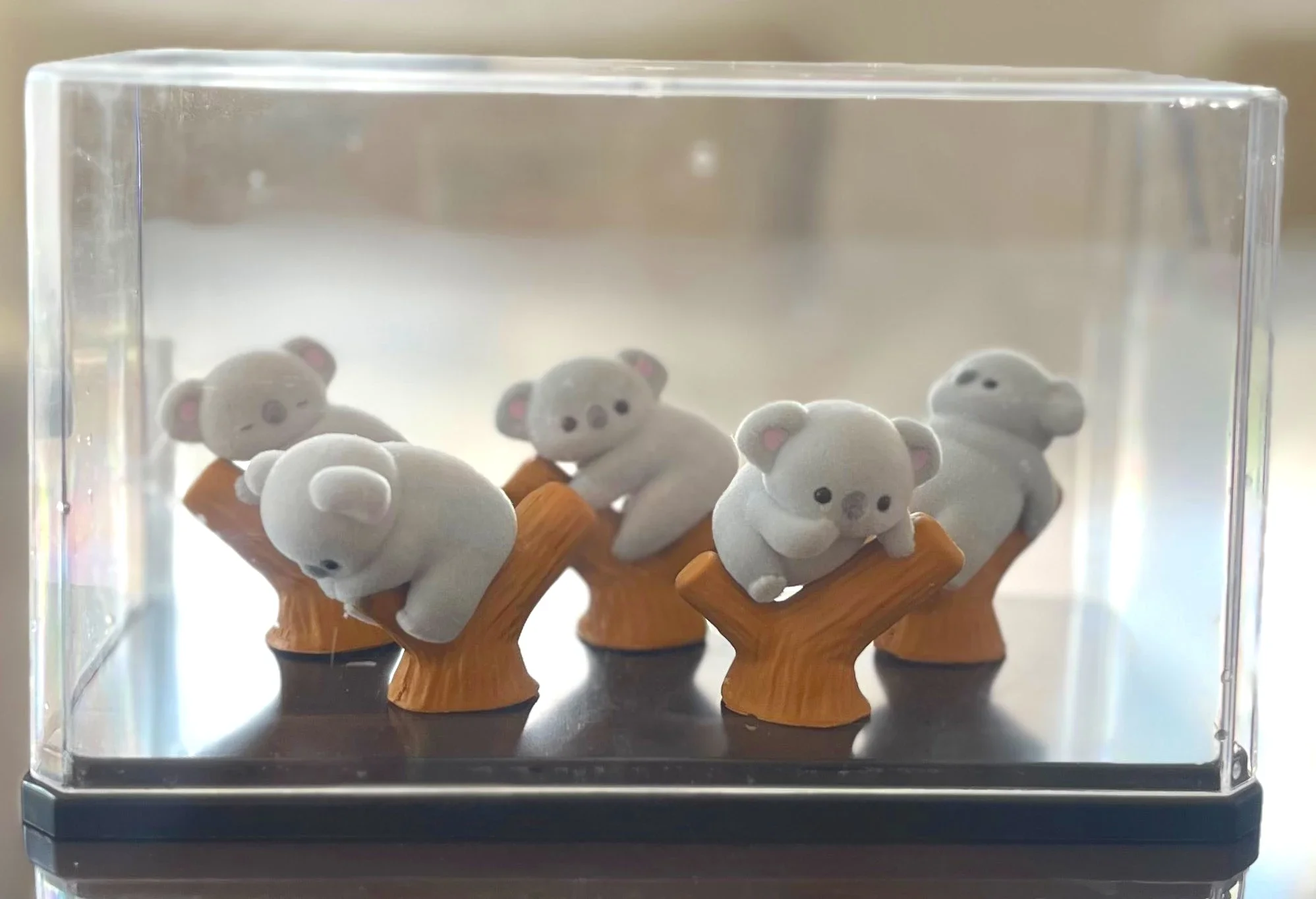 귀엽고 깜찍한 플로키 코알라 아기 나무에 등반하고 좌식으로 앉아서 당신을 바라보는 수면 동물 피규어, Yell 캡슐 토이