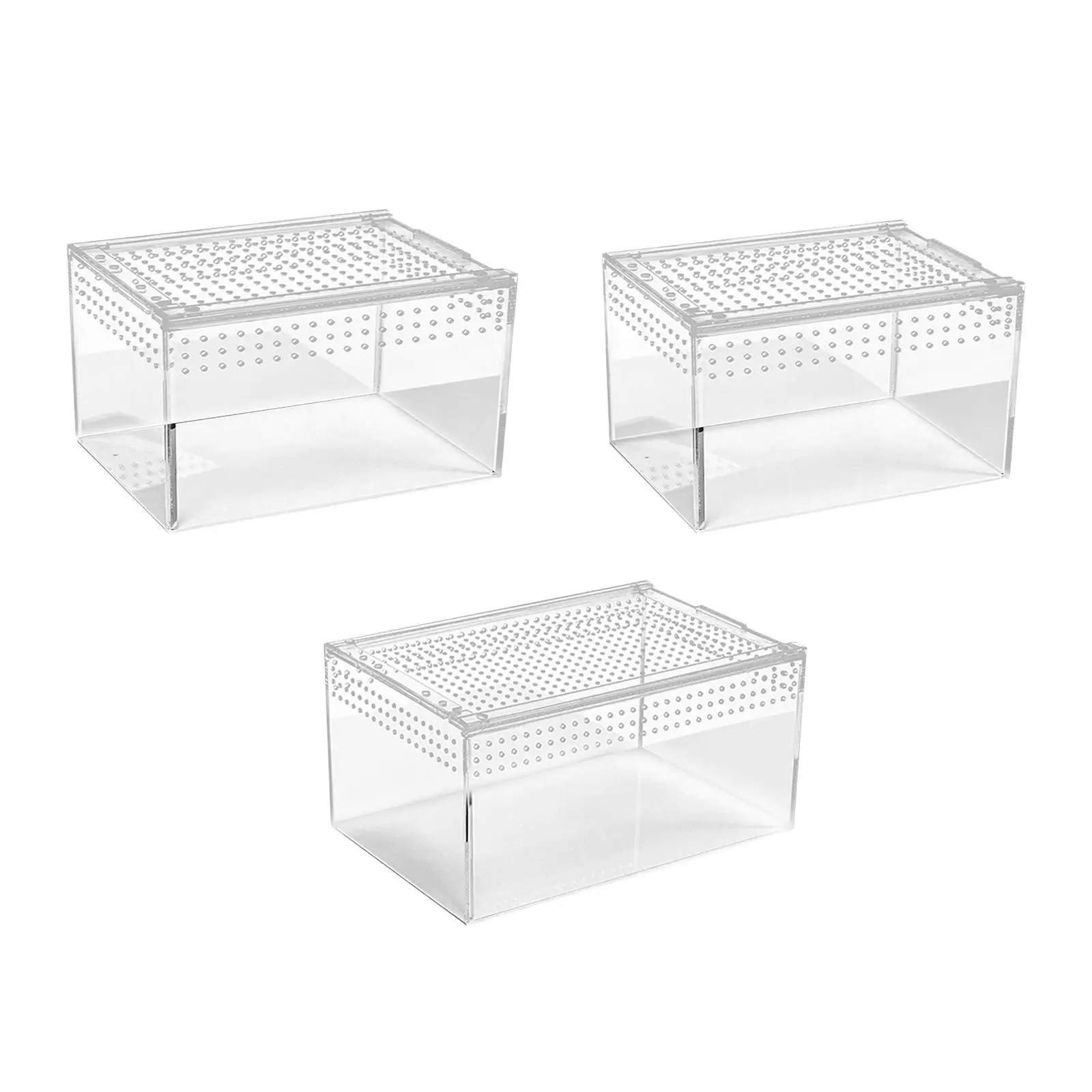 Reptile Terrarium Tortoise Terrarium Clear Reptile Habitat Container Turtle Tank for Frog Crayfish Snake Tortoise Amphibians