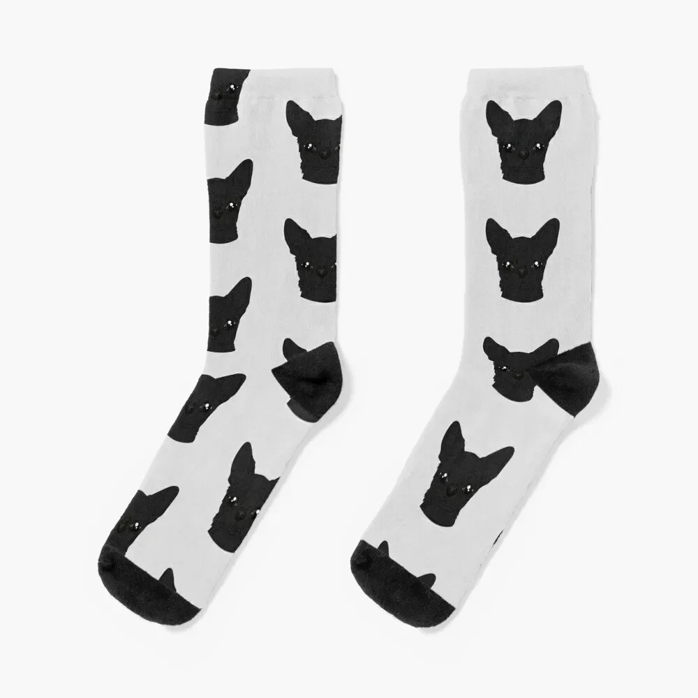 

Black Chihuahua Socks designer sport shoes moving stockings Woman Socks Men's colored Children's Run Socks For Man Women's