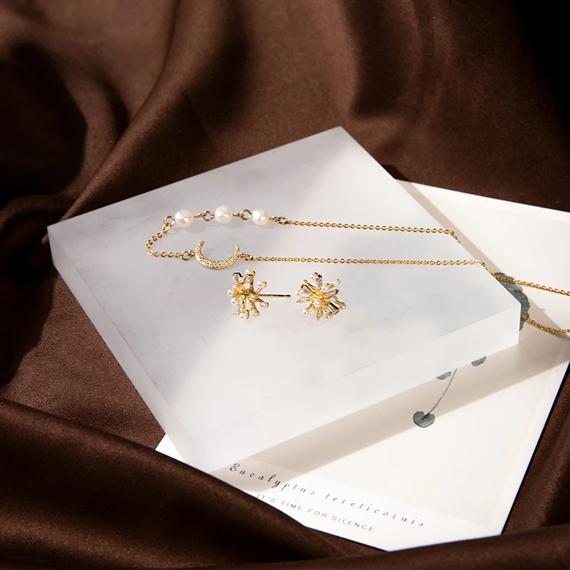 

Frosted Acrylic Jewelry Display Stand, Multi-purpose Holder for Earrings Rings Necklaces, for Shop Market Photo Prop