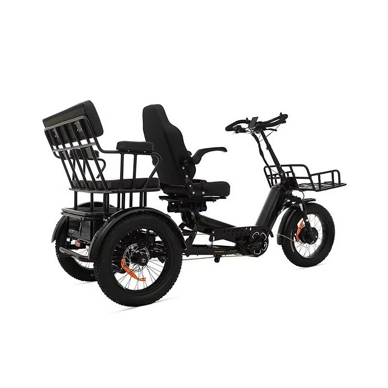 2500w Dual Motor Electric Tricycle 2500w Dual Motor Electric Trike off Road E Trike Cargo Tricycle 500KM Long Range