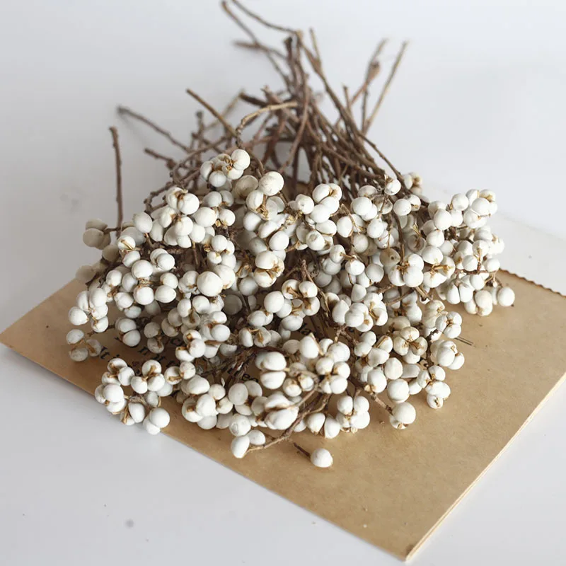 باقة زهور التوت الأبيض المجففة - فروع الفاكهة البيضاء المجففة الطبيعية، زهور ديكور المنزل البسيطة، زهور يدوية متعددة الاستخدامات #4