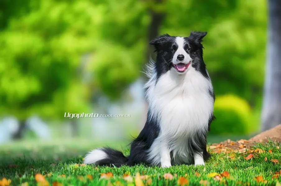 T-Motor Cine66 PRO 1100KV 브러시리스 모터 6S 장거리 FPV 드론 시네리프터 빌드용 6-7인치 프로펠러 프리스타일