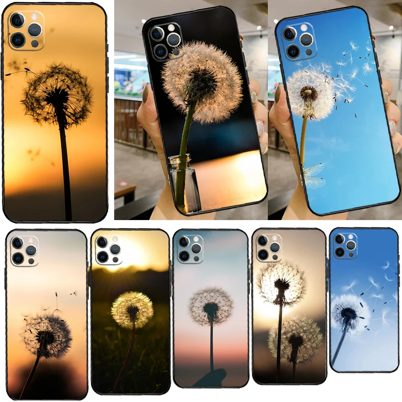 Dandelion Flowers C… - image