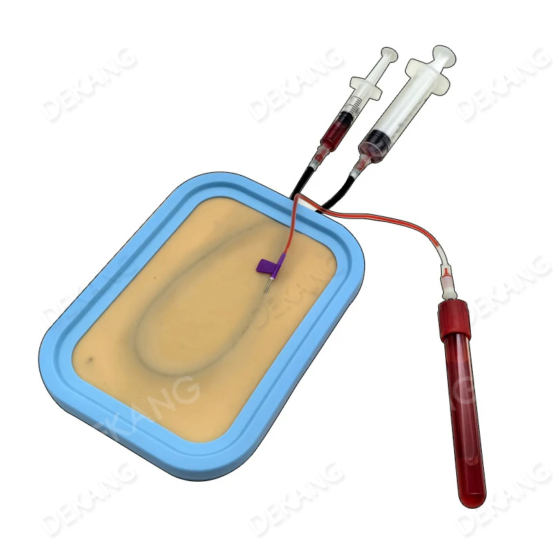 Infusion Injection Practice Model Teaching Needle Insertion Blood Collection Blood Collection Blood Vessel Puncture Skin Mold