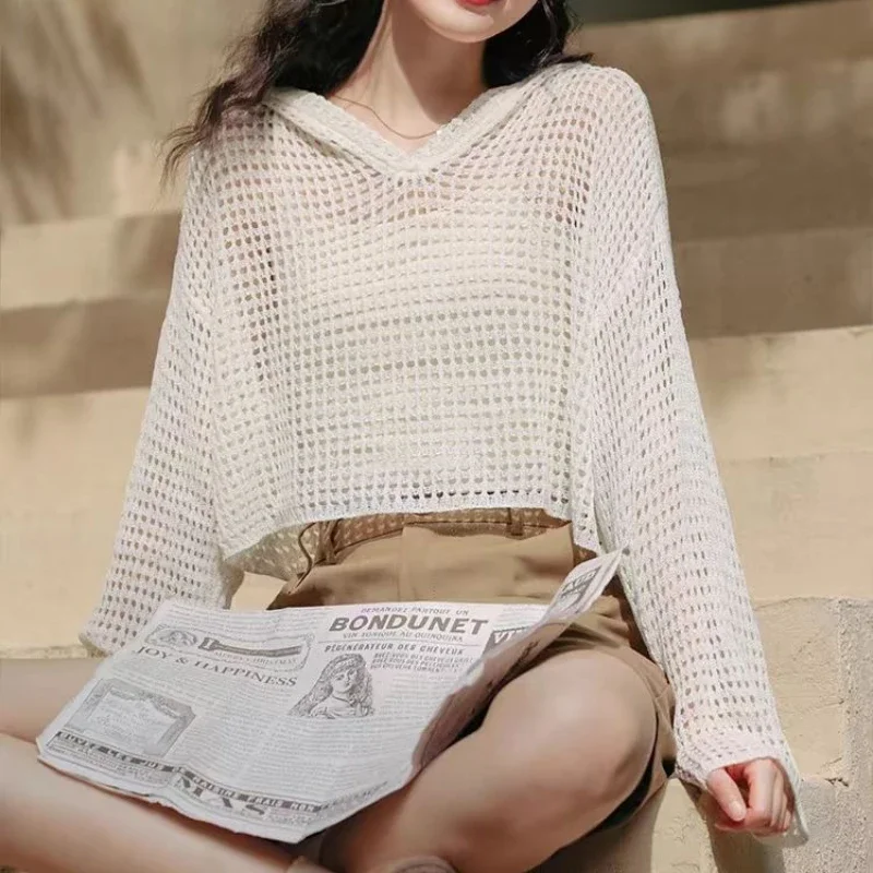 เสื้อสเวตเตอร์ถักลายฉลุมีฮู้ดสำหรับผู้หญิง แขนยาวโปร่งแสง ทรงบ็อกซี่ ครอปท็อป สำหรับวัยรุ่น ฤดูใบไม้ผลิ ฤดูร้อน สไตล์ Y2K