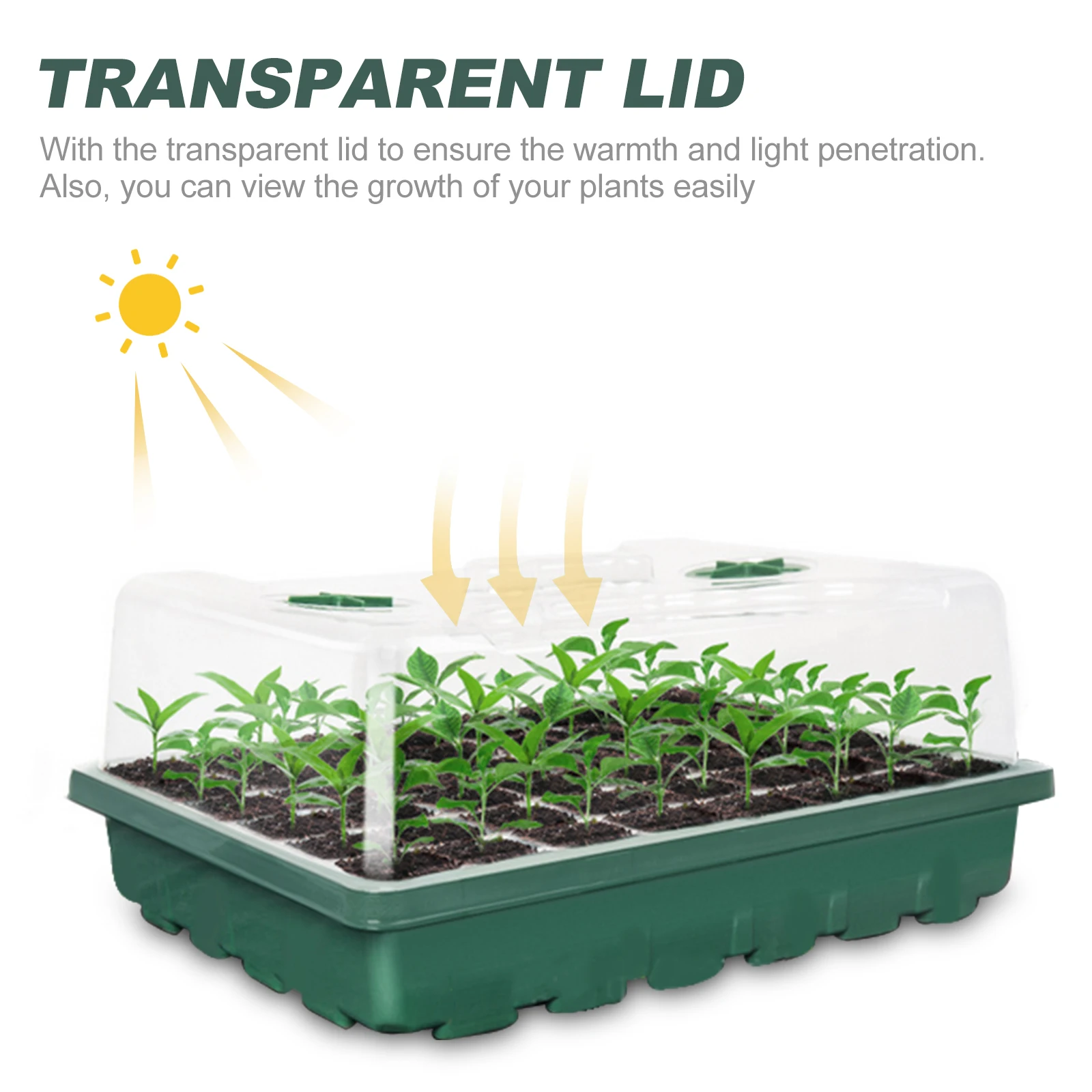 

Plastic Germination 12 Hole Starter Container Starter Tray Transparent Lid Seedling Growth Gardening