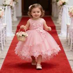 Baby Dresses Birthday Party Wedding Dresses Infant Princess Dress For Newborn Christmas Costume Evening Clothes 4-24 Months