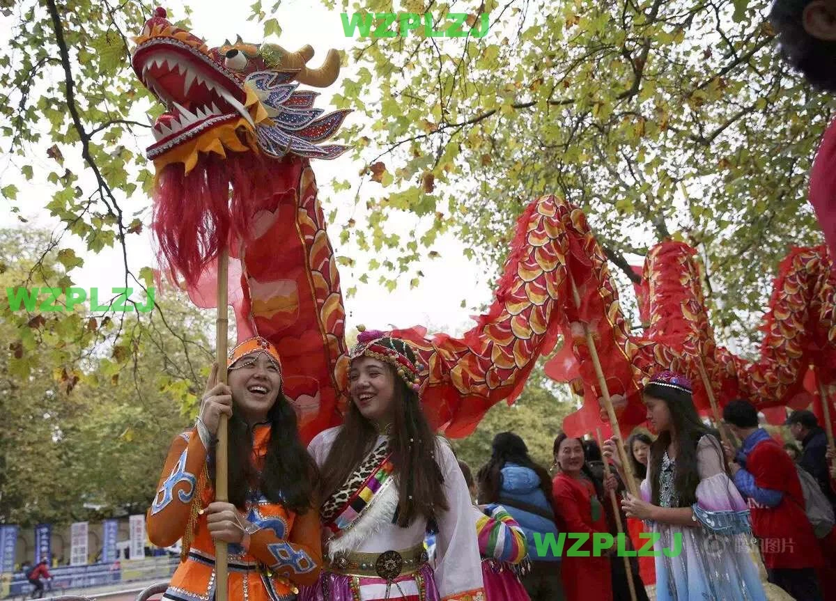 Disfraz de baile de dragón de seda para adultos, 14m, 8 jugadores, tamaño 4, juego de Año Nuevo chino al aire libre, juguetes deportivos, Festival de eventos