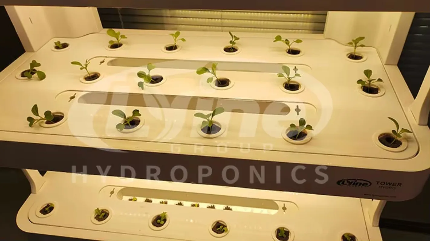 อุปกรณ์ทำฟาร์มไฮโดรโปนิกส์และอควาโปนิกส์อัตโนมัติสำหรับสวนในบ้าน ระบบไฮโดรโปนิกส์แนวตั้งครบวงจรสำหรับปลูกผัก