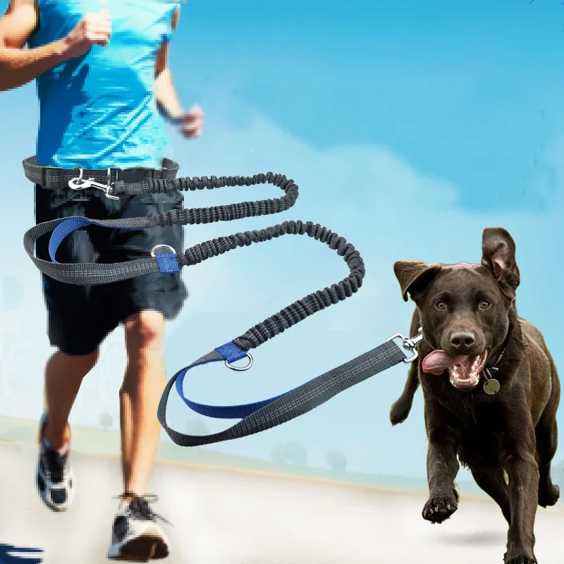 Dog Running Comfortable Leashes Dog Accessories Leash For Dogs Supplies Chiens Traction Rope Pet Items Elastic Dog Supplies Pets