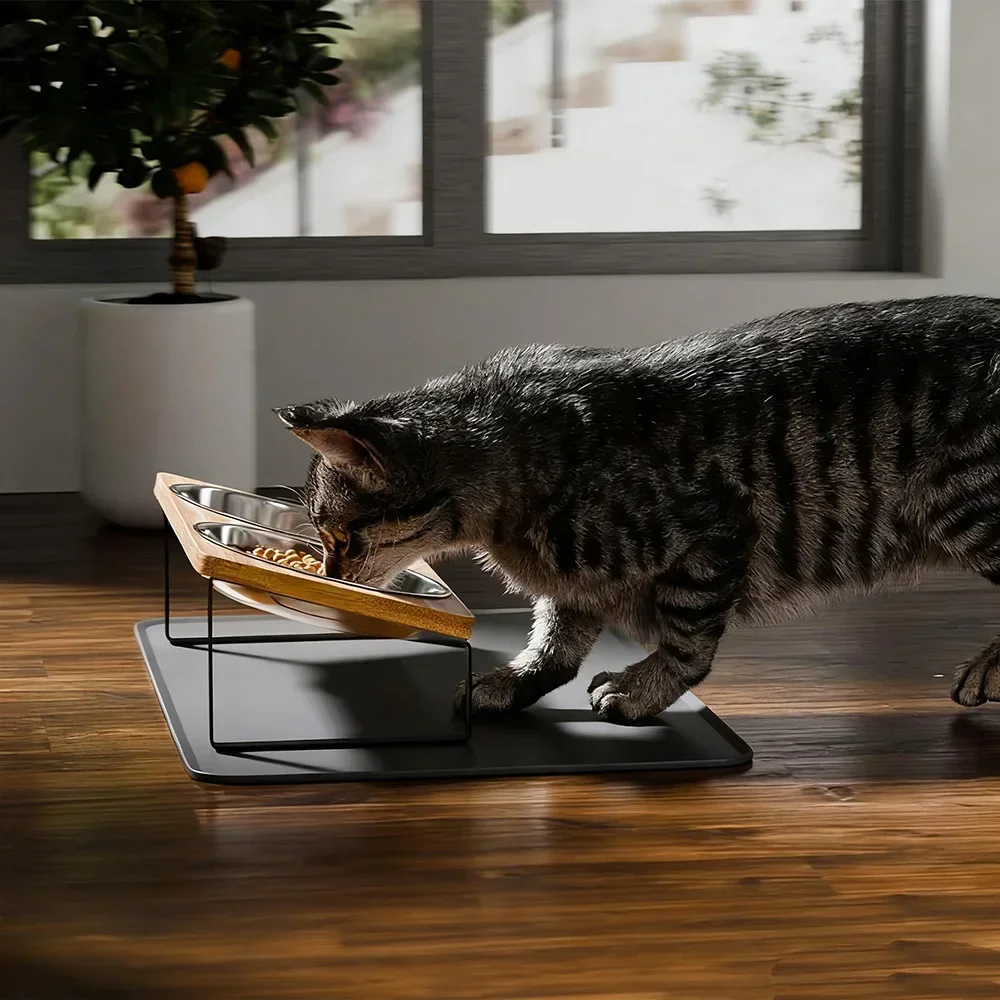 Elevated Cat Bowls with Food Mat 15 Degrees Stand Anti Vomiting Raised Cat Dishes 2 Stainless Steel Bowls for Cats and Puppy