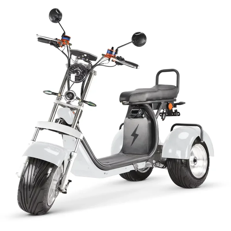 STROVAN EU Stock 4000W 3-Wheel Citycoco Open Electric Scooter 10-Inch Tires 60V 20AH Lithium Battery 45km/h 70-90km Range