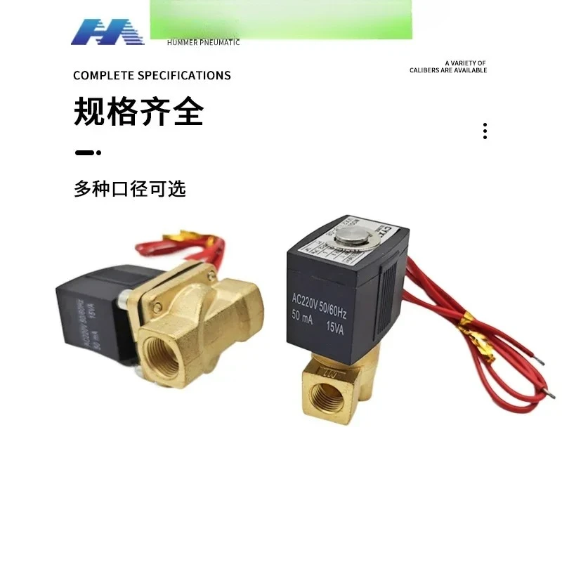 Two position two-way normally closed solenoid valve VX2120-X64 08/10/15/2 points 3 points/4 points AC220V/DC24V