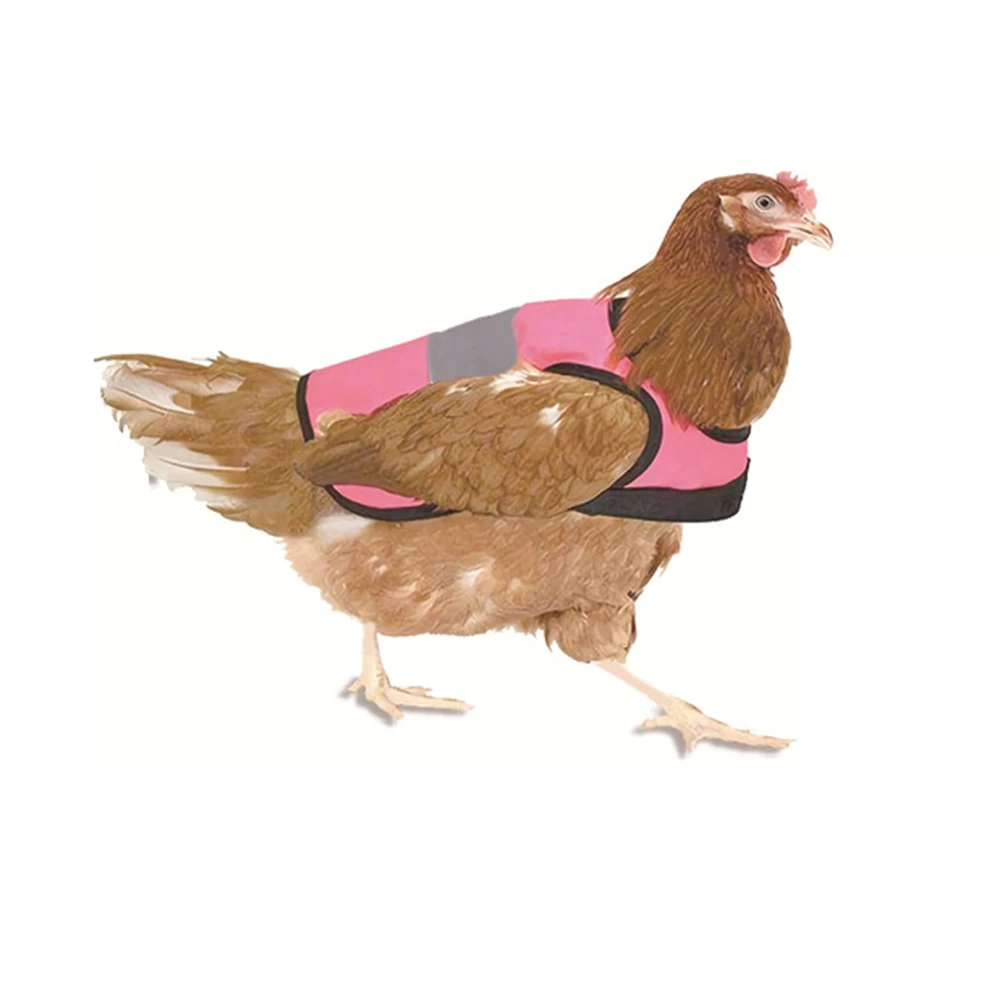 Chickens Clothes Chickens Ducks Hens Goose Accessories Chicken Vest Adjustable Reflective Breathable Night Protective Clothes