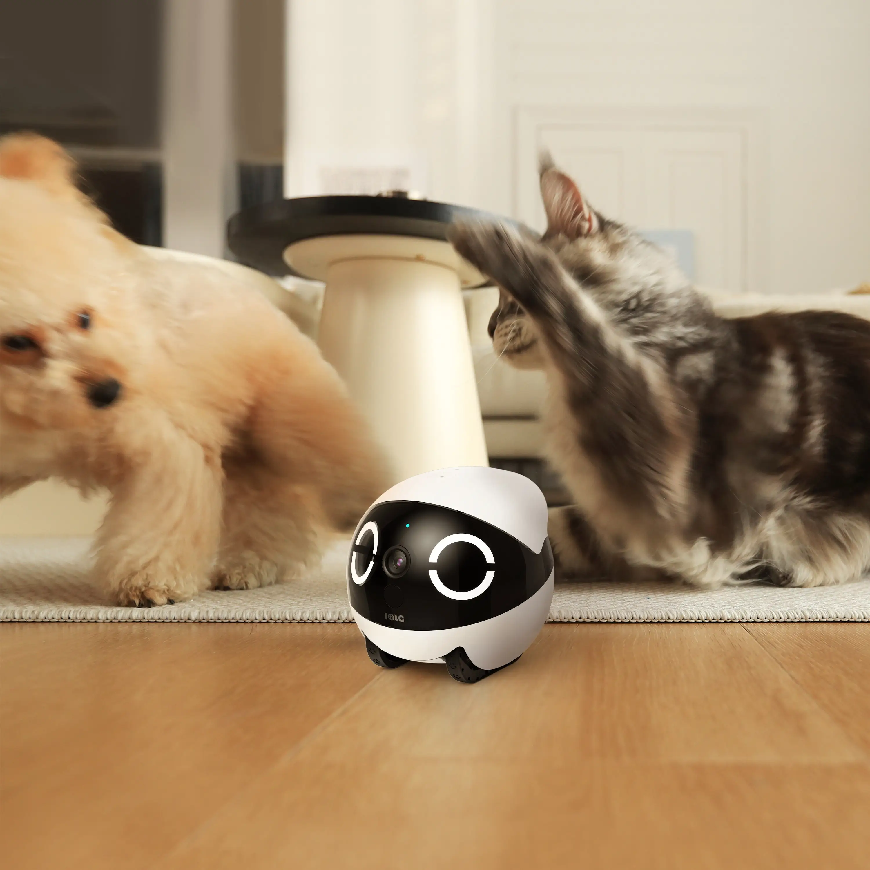 ROLA Mini Significant Other Robot 2K Camera APP Control Night Vision Pet Monitor Home Security Pet Camera Machine Translation