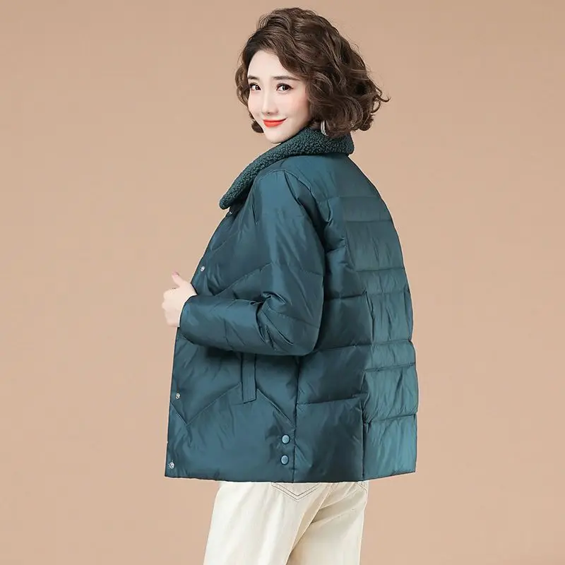 Autumn Winter New Fashion Long Sleeve Turn-down Collar Solid Down Parkas Women's Clothing Korean Button Warm All-match Chic Tops