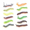 Caterpillar