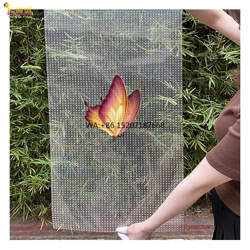 Indoor P6 Led Film …