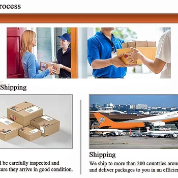 Link speciale per la spedizione veloce