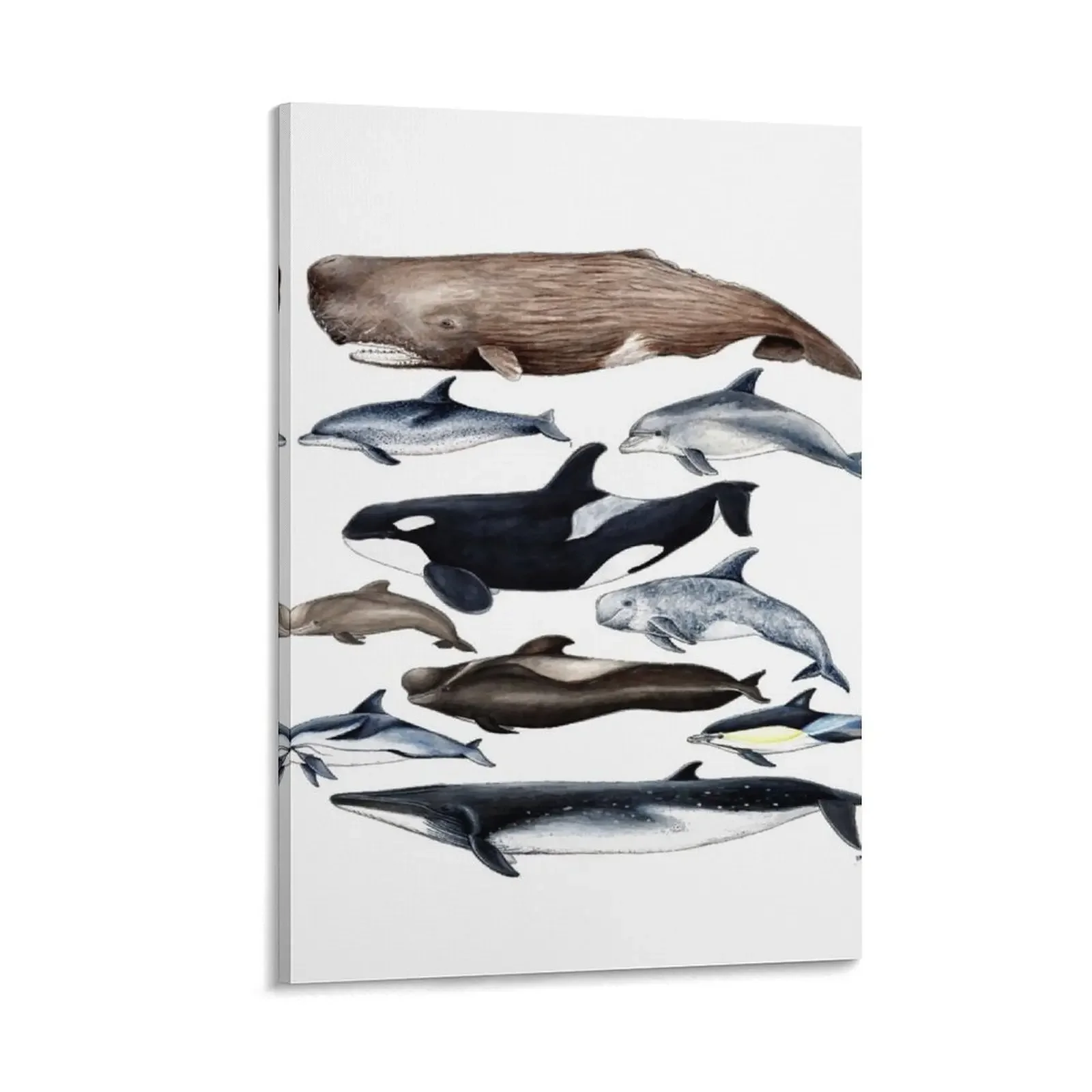

Whales, dolphins, orca and sperm whale Canvas Painting aesthetic room decor Paintings on the wall bedroom decor