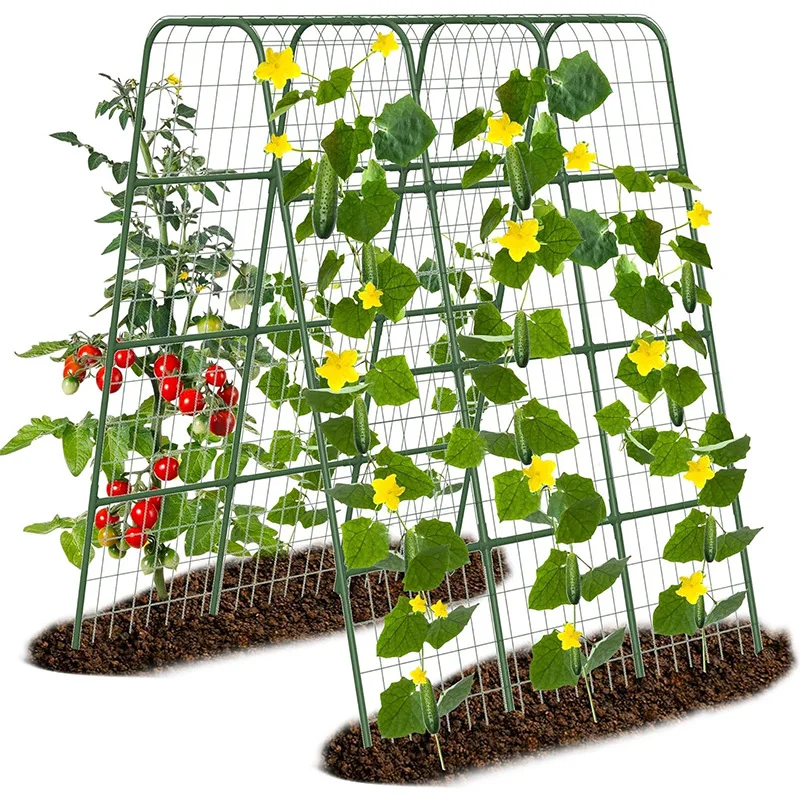 

Утолщенная огурцовская решетка, опора для восхождения винограда, опорная рама для посадки овощей, опорный кол